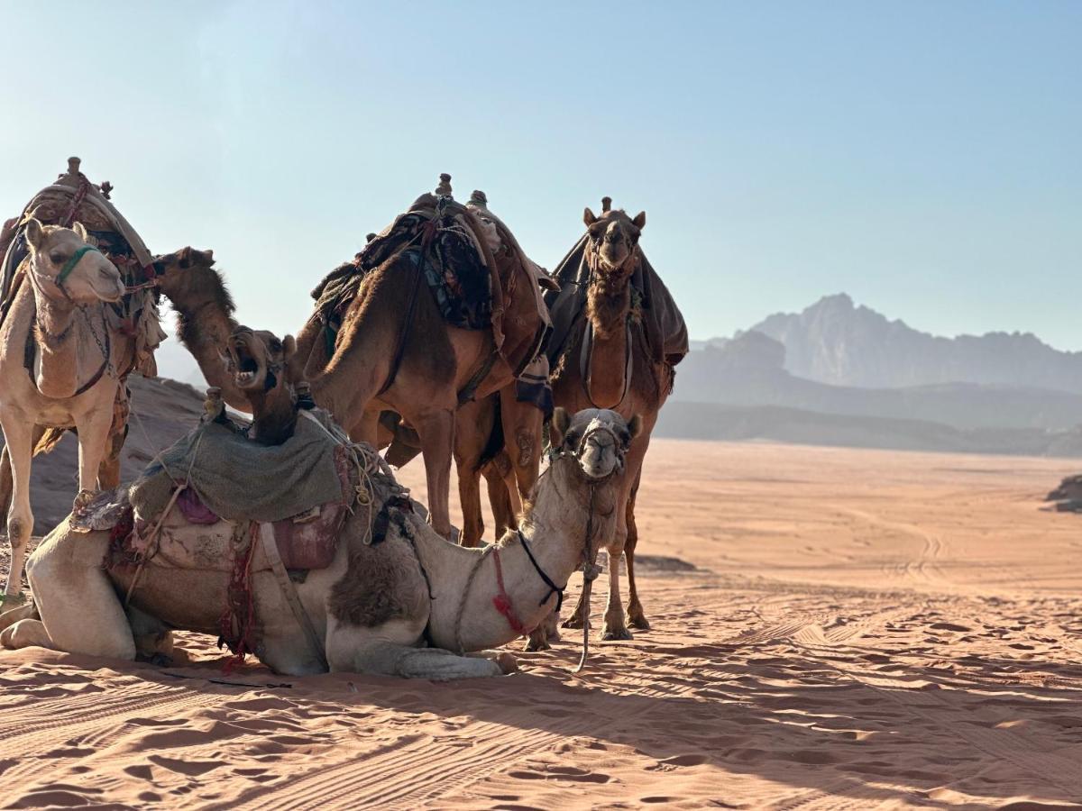 Rum Titanic Camp Wadi Rum Exterior photo
